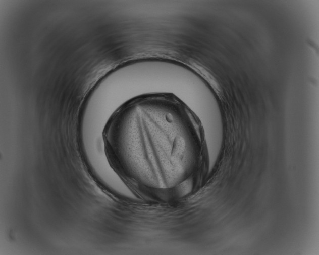 X0000095690485200801221250