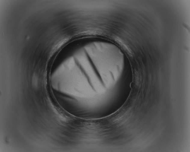 X0000095690486200801221250