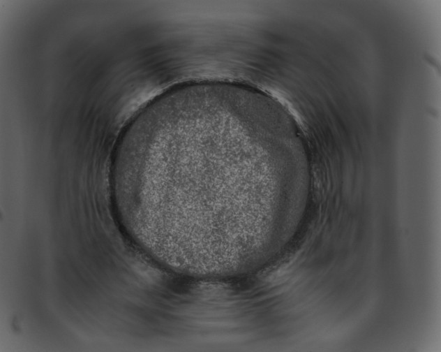 X0000095690487200801221250