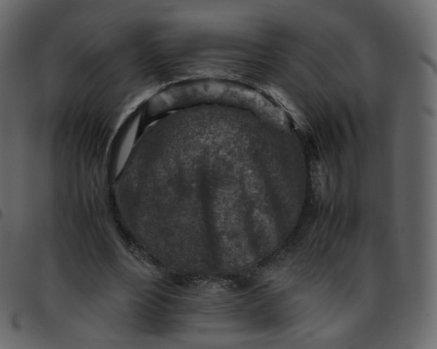 X0000095690488200801221250