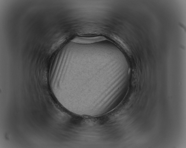 X0000095690489200801221250