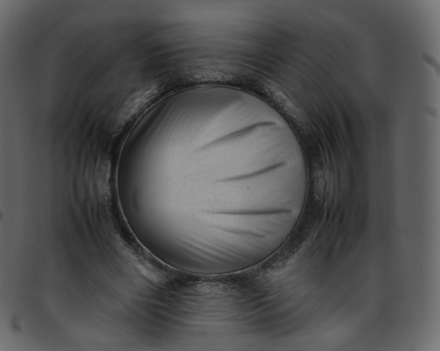 X0000095690490200801221250