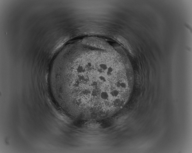 X0000095690491200801221250