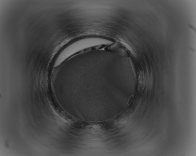 X0000095690492200801221250