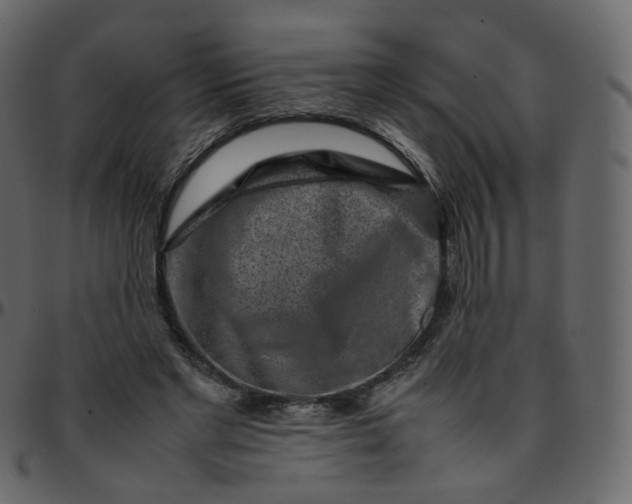 X0000095690493200801221250