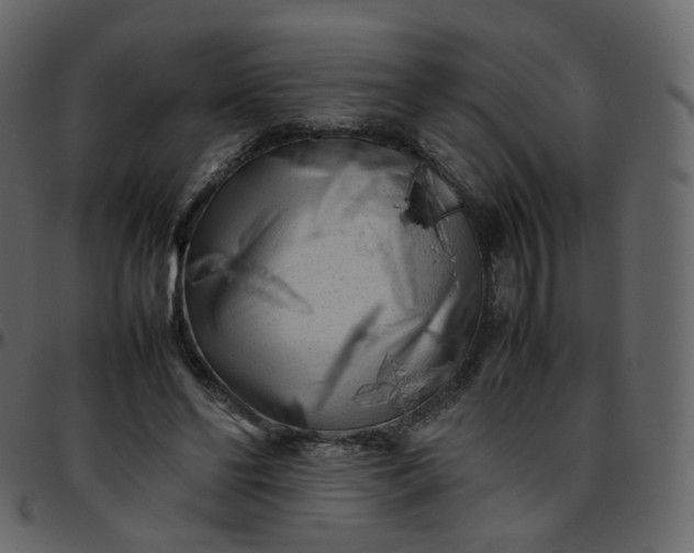 X0000095690494200801221250