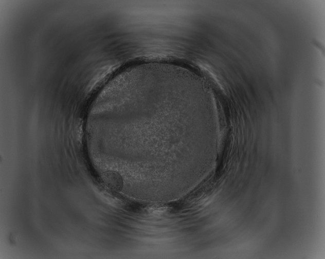 X0000095690495200801221250