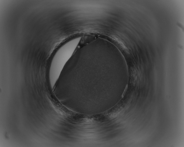 X0000095690496200801221250