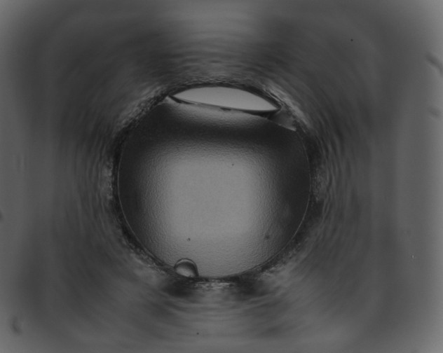 X0000095690497200801221250