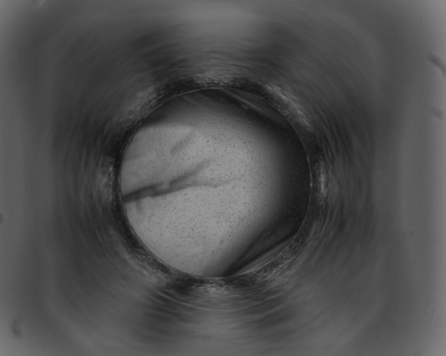 X0000095690498200801221250