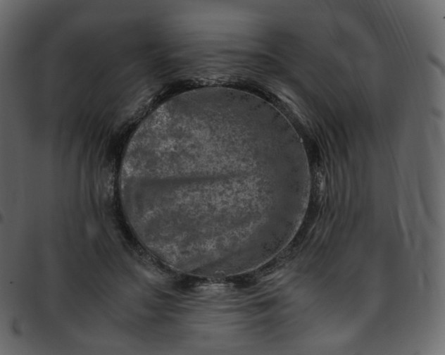 X0000095690499200801221250