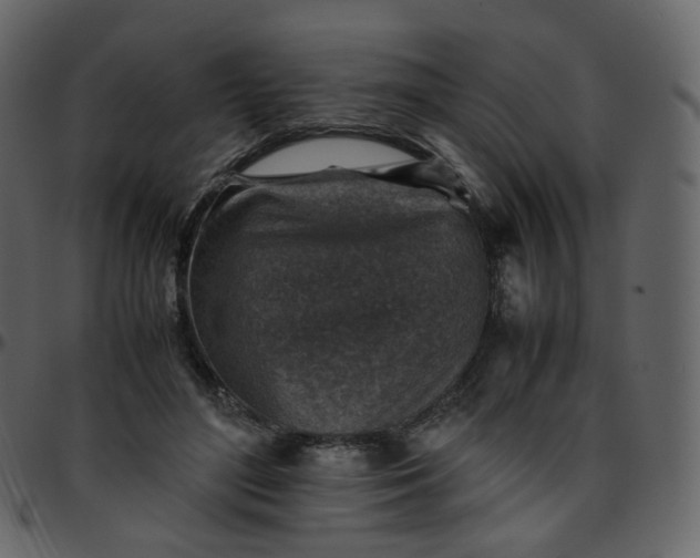 X0000095690500200801221250