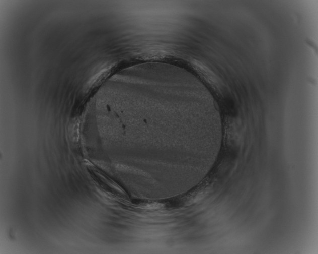 X0000095690501200801221250