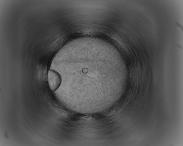 X0000095690502200801221250