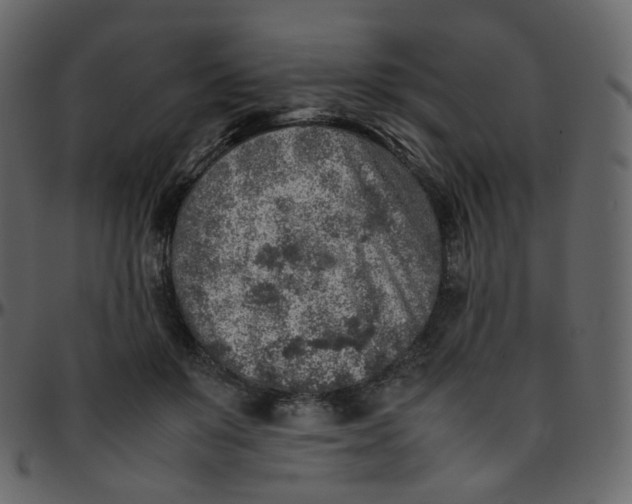 X0000095690503200801221250