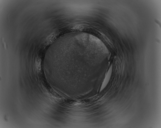 X0000095690504200801221250