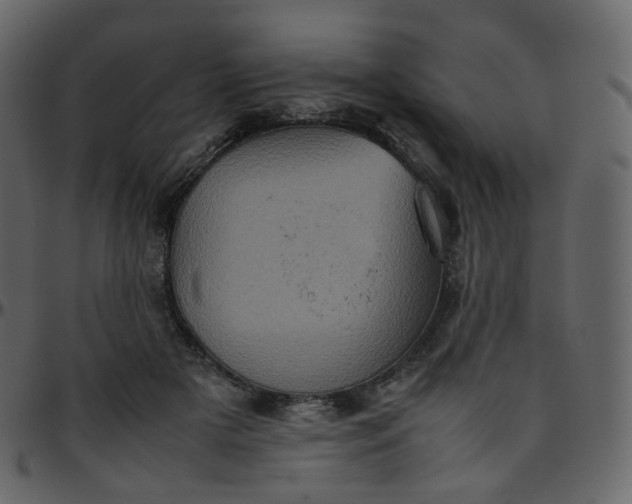 X0000095690505200801221250