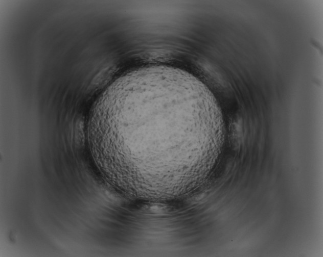 X0000095690506200801221250