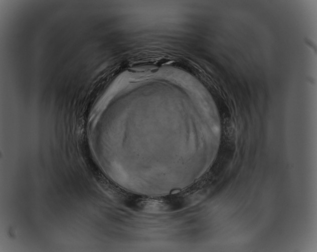 X0000095690507200801221250