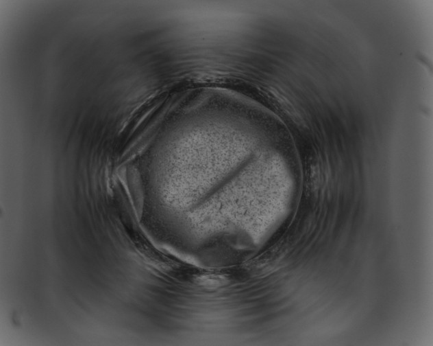 X0000095690508200801221250