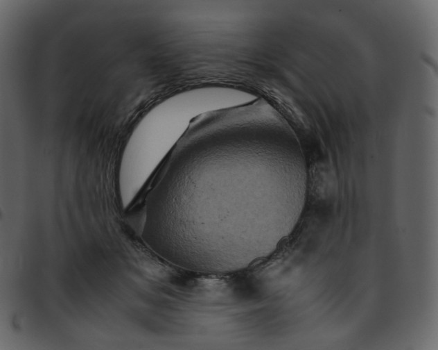 X0000095690509200801221250