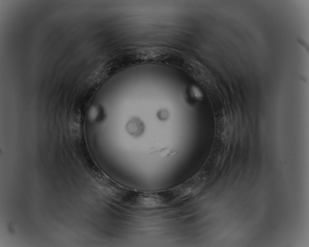 X0000095690510200801221250