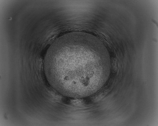 X0000095690511200801221250