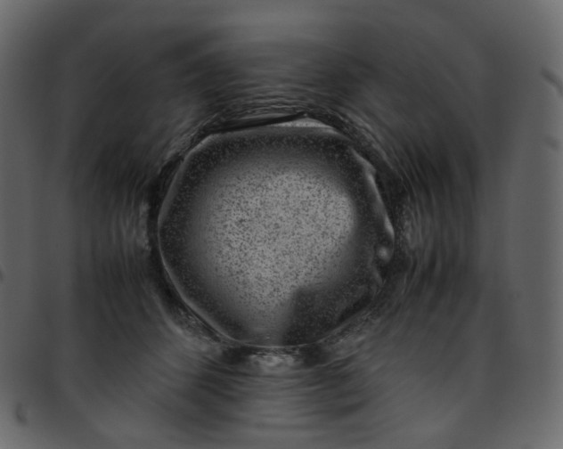 X0000095690512200801221250