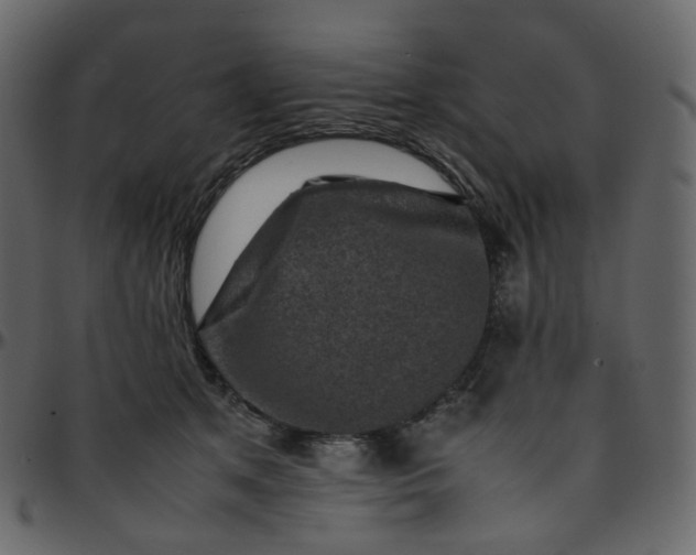 X0000095690513200801221250