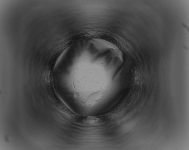 X0000095690514200801221250