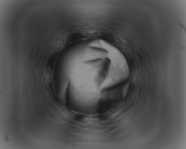 X0000095690515200801221250