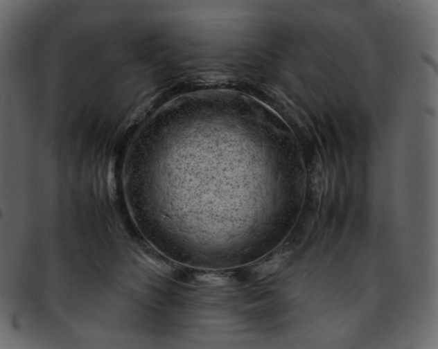 X0000095690516200801221250