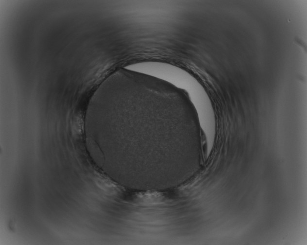 X0000095690517200801221250