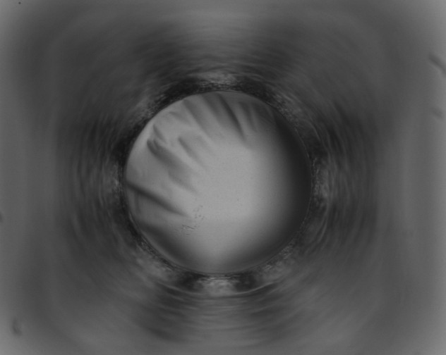 X0000095690518200801221250