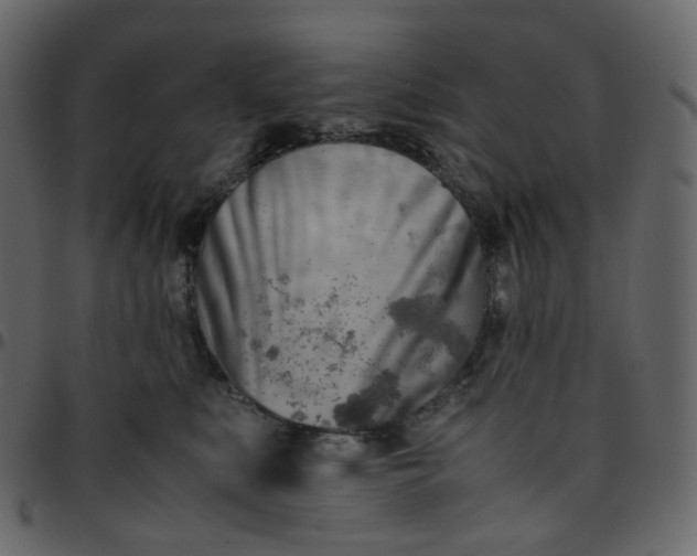 X0000095690519200801221250