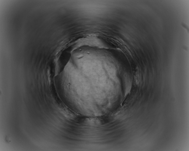 X0000095690520200801221250