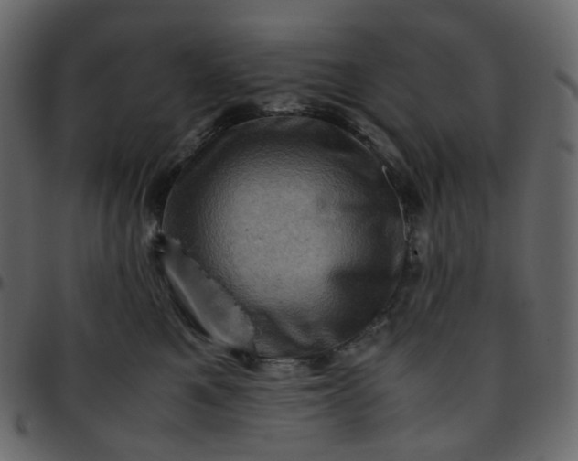 X0000095690521200801221250