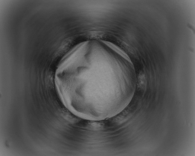 X0000095690522200801221250