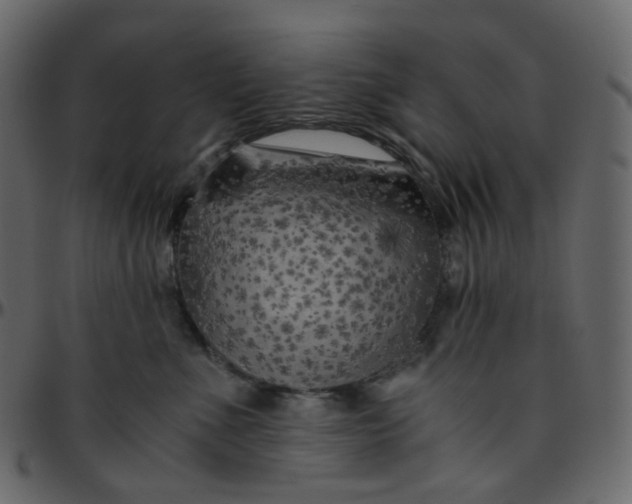 X0000095690523200801221250