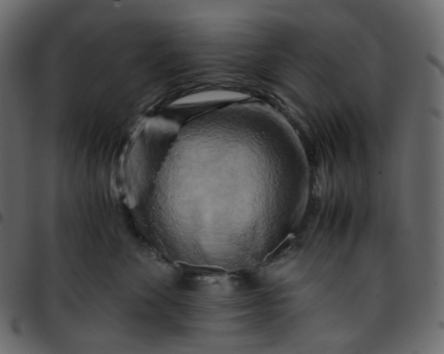 X0000095690524200801221250