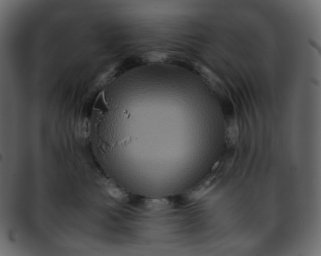 X0000095690525200801221250