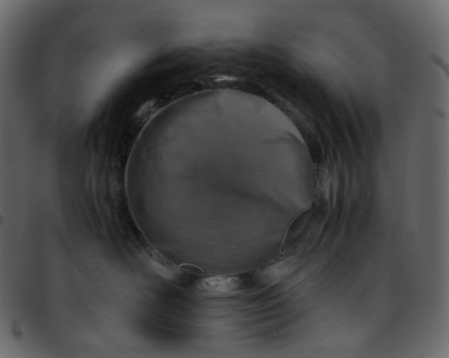 X0000095690526200801221250