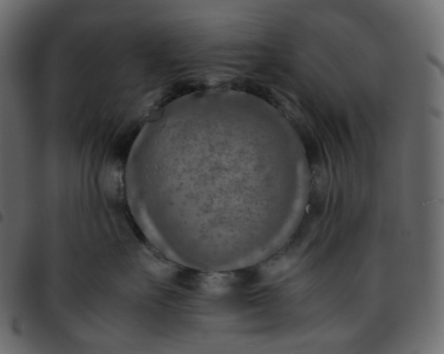 X0000095690527200801221250