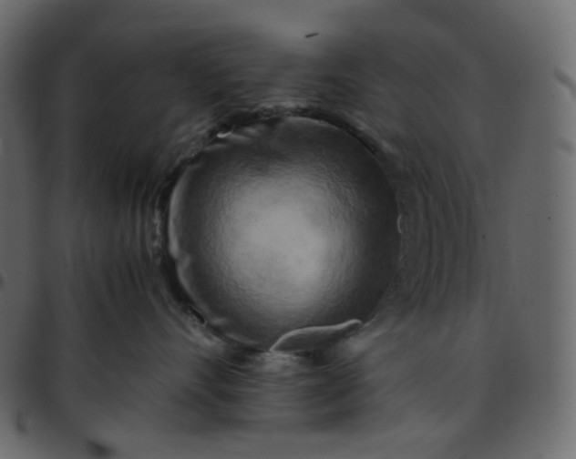 X0000095690528200801221250