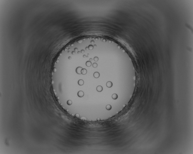 X0000095690529200801221249