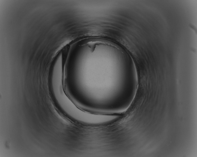 X0000095690530200801221249