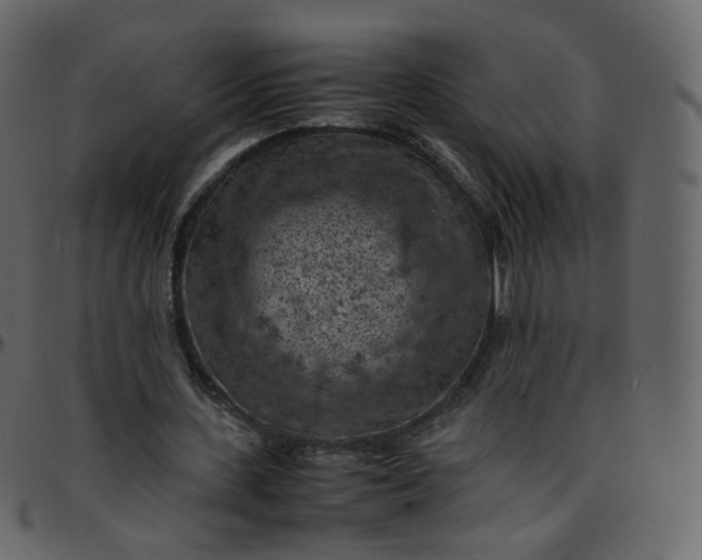 X0000095690531200801221249