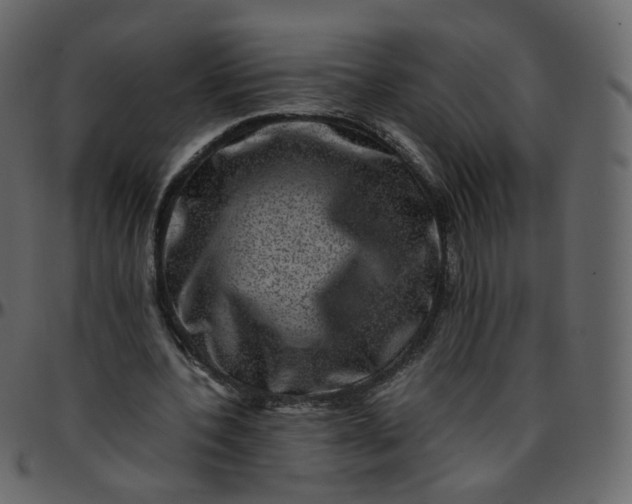 X0000095690532200801221249