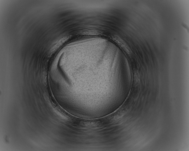 X0000095690533200801221249