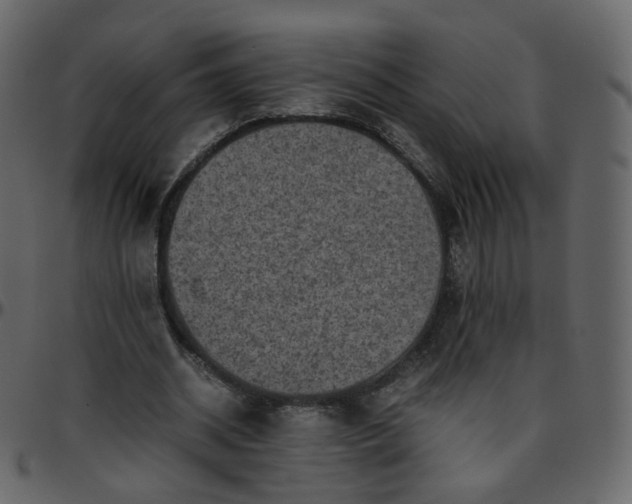 X0000095690534200801221249